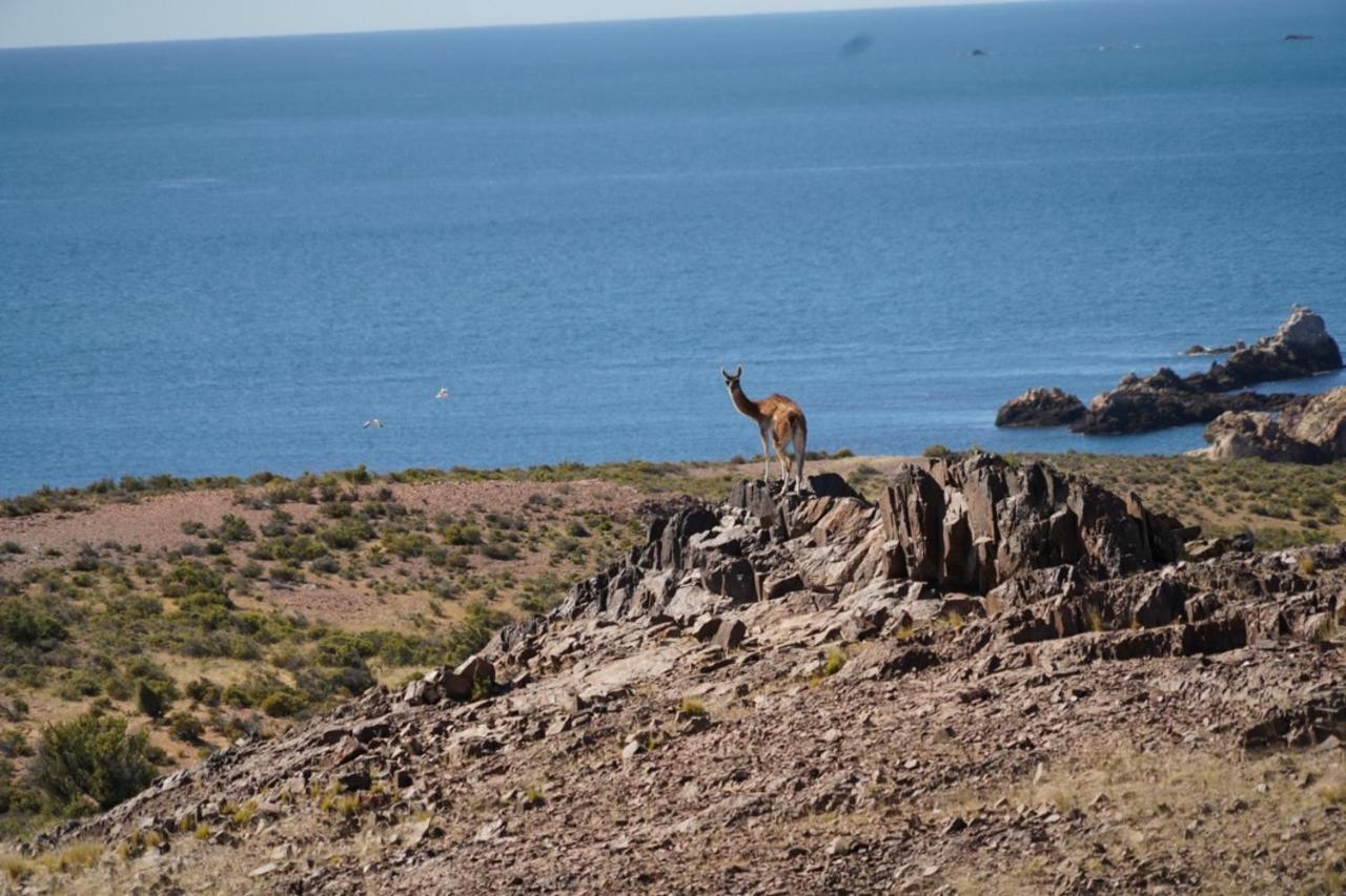 Estancia Tatay Trelew Eksteriør bilde